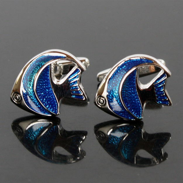 熱帯魚カフリンクスを入荷