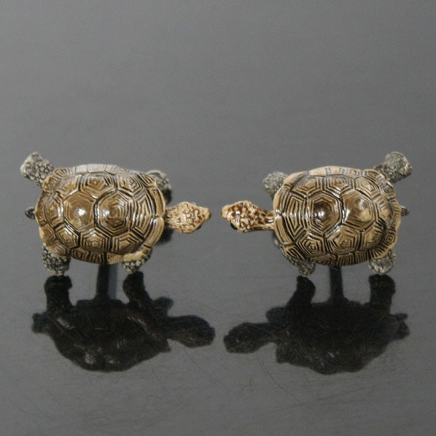 陸ガメ・カフリンクスを入荷